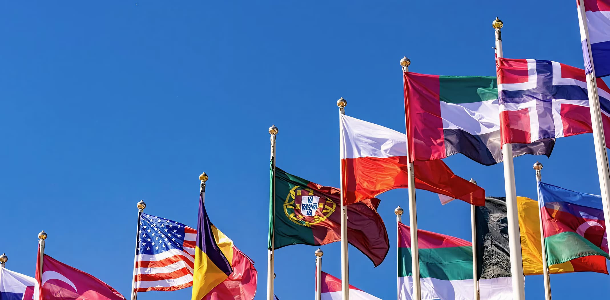 TerraLex global legal network